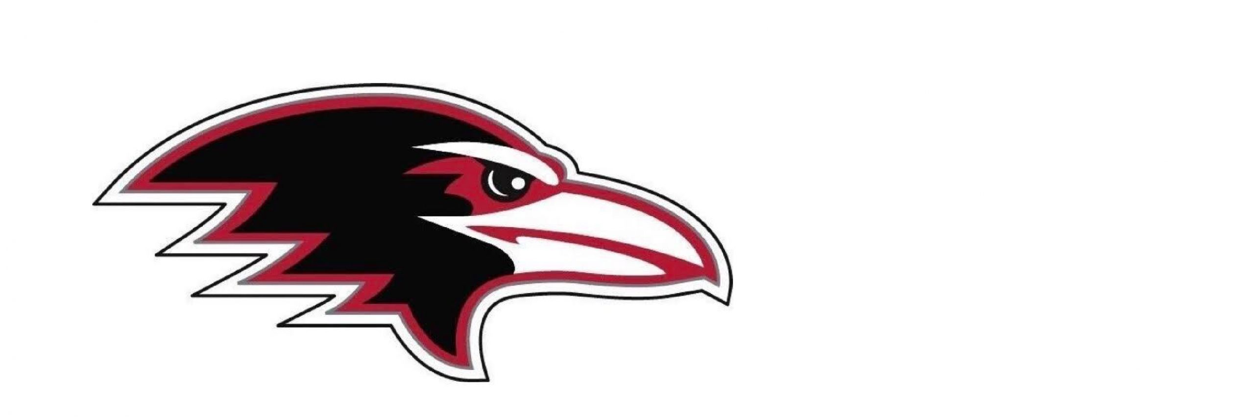 団体紹介 神戸大学アメリカンフットボール部ravens Mimakuru Lab